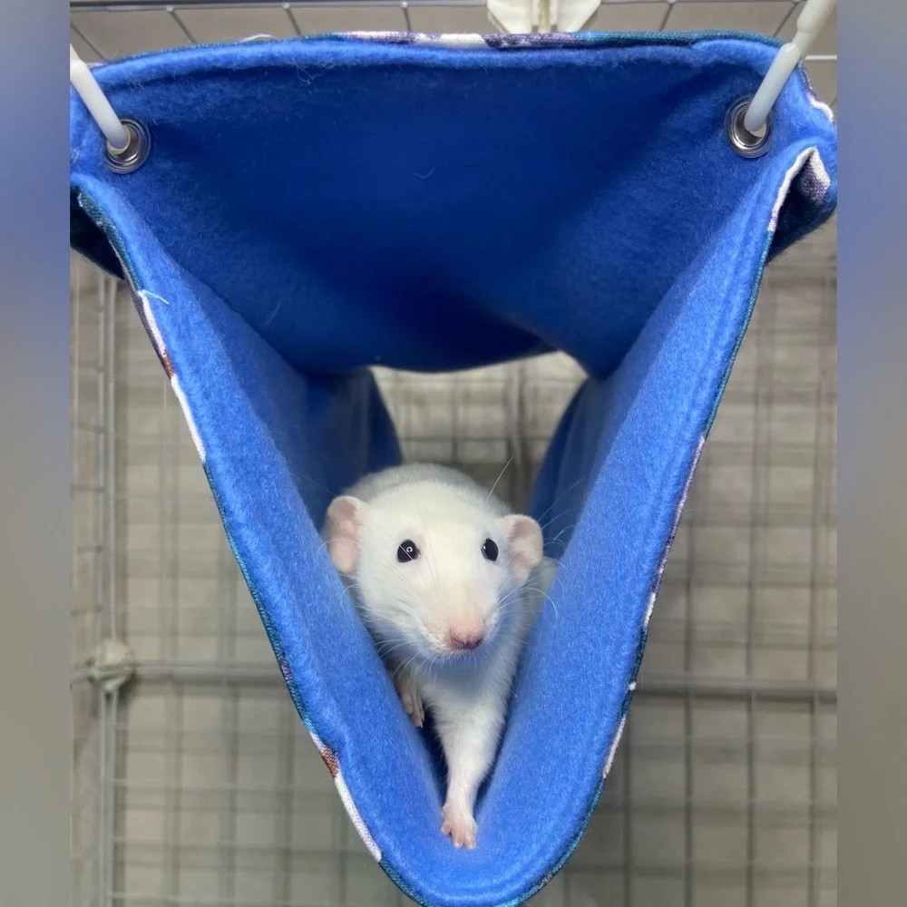 Custom hammocks for small pets